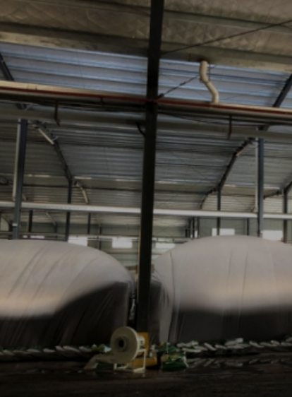 腾博会官网 - 诚信为本,专业服务!